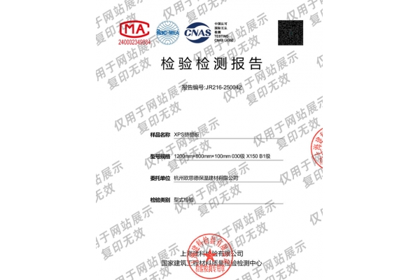 100厚检测报告